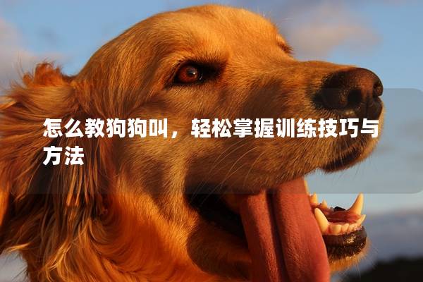 怎么教狗狗叫，輕松掌握訓(xùn)練技巧與方法