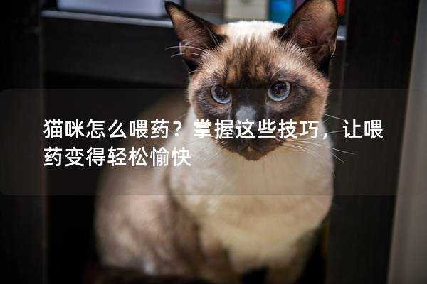 貓咪怎么喂藥？掌握這些技巧，讓喂藥變得輕松愉快