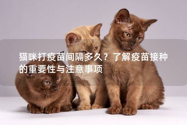 貓咪打疫苗間隔多久？了解疫苗接種的重要性與注意事項(xiàng)
