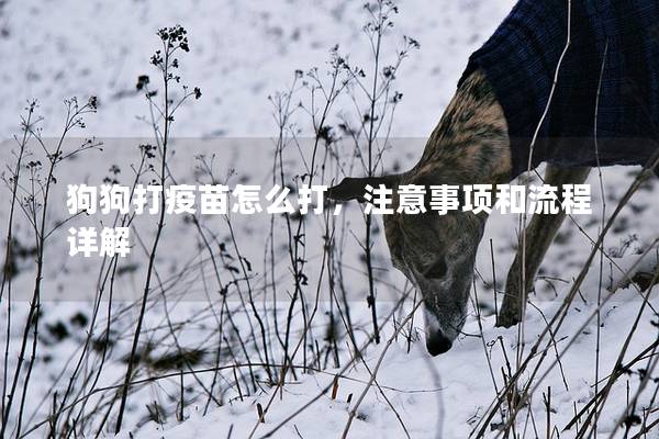 狗狗打疫苗怎么打,注意事項(xiàng)和流程詳解 狗狗打疫苗怎么打,注意事項(xiàng)和流程詳解