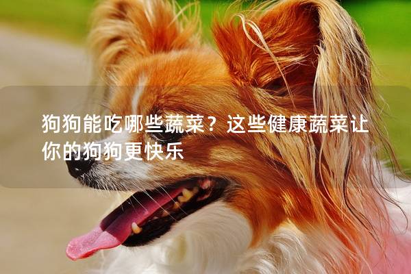 狗狗能吃哪些蔬菜？這些健康蔬菜讓你的狗狗更快樂