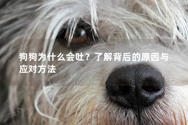狗狗為什么會吐?了解背后的原因與應對方法 狗狗為什么會吐?了解背后的原因與應對方法
