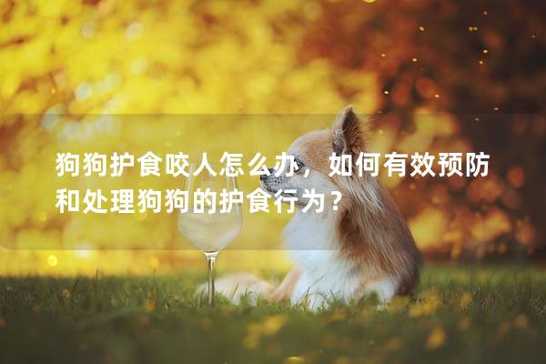 狗狗護(hù)食咬人怎么辦，如何有效預(yù)防和處理狗狗的護(hù)食行為？
