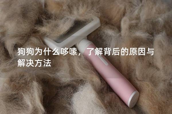 狗狗為什么哆嗦，了解背后的原因與解決方法