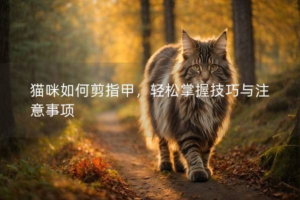 貓咪如何剪指甲，輕松掌握技巧與注意事項(xiàng)