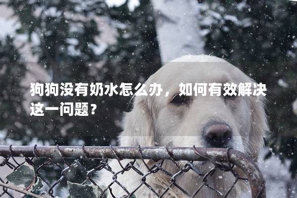 狗狗沒(méi)有奶水怎么辦，如何有效解決這一問(wèn)題？