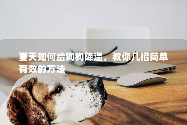 夏天如何給狗狗降溫，教你幾招簡單有效的方法