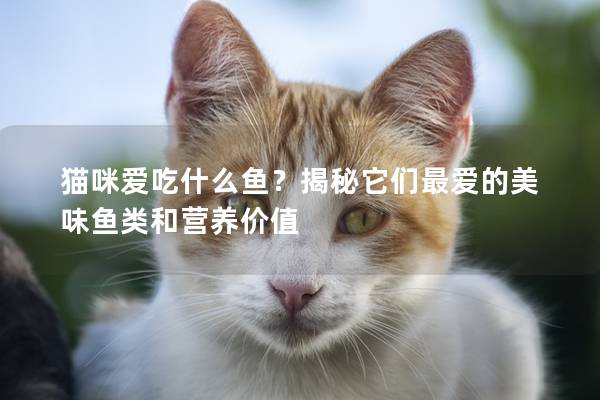 貓咪愛吃什么魚？揭秘它們最愛的美味魚類和營養(yǎng)價值