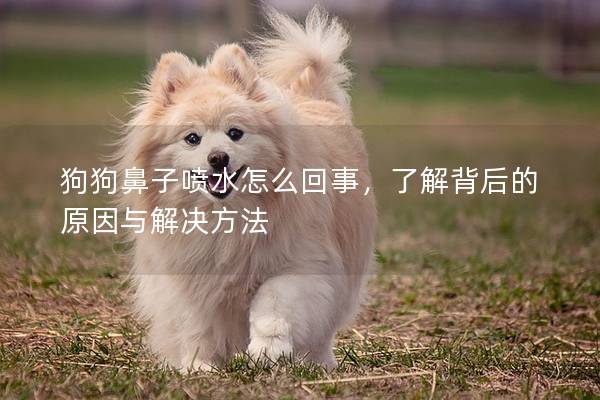 狗狗鼻子噴水怎么回事，了解背后的原因與解決方法