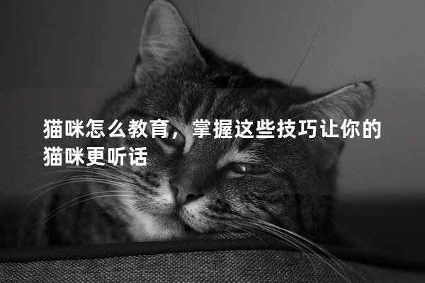 貓咪怎么教育，掌握這些技巧讓你的貓咪更聽(tīng)話(huà)
