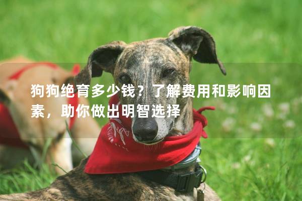 狗狗絕育多少錢?了解費用和影響因素,助你做出明智選擇 狗狗絕育多少錢?了解費用和影響因素,助你做出明智選擇