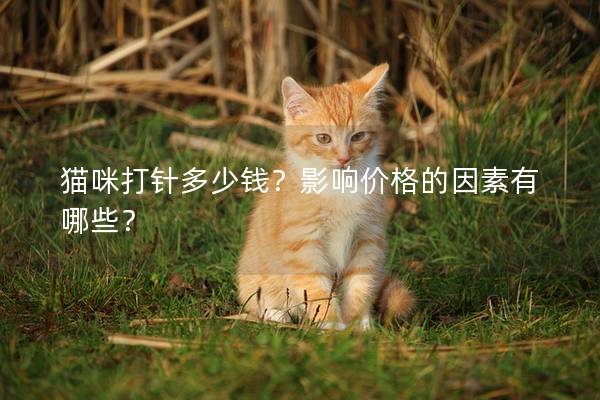 貓咪打針多少錢？影響價(jià)格的因素有哪些？