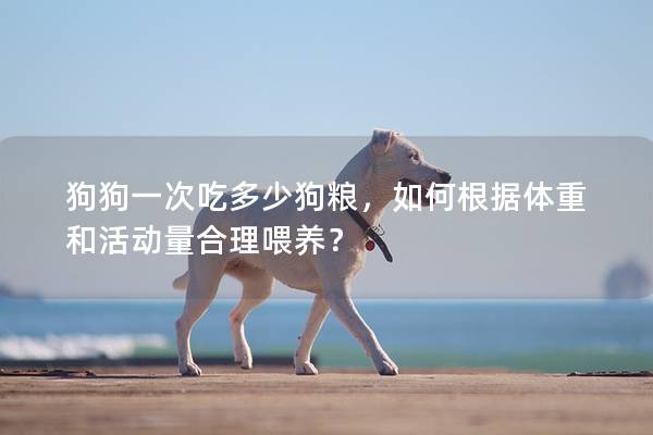 狗狗一次吃多少狗糧，如何根據體重和活動量合理喂養？