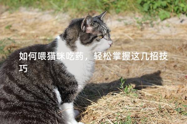 如何喂貓咪吃藥，輕松掌握這幾招技巧