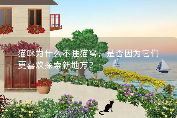 貓咪為什么不睡貓窩，是否因為它們更喜歡探索新地方？