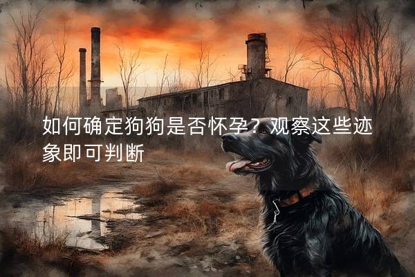如何確定狗狗是否懷孕？觀察這些跡象即可判斷
