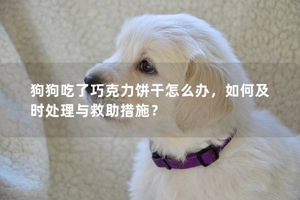 狗狗吃了巧克力餅干怎么辦，如何及時處理與救助措施？