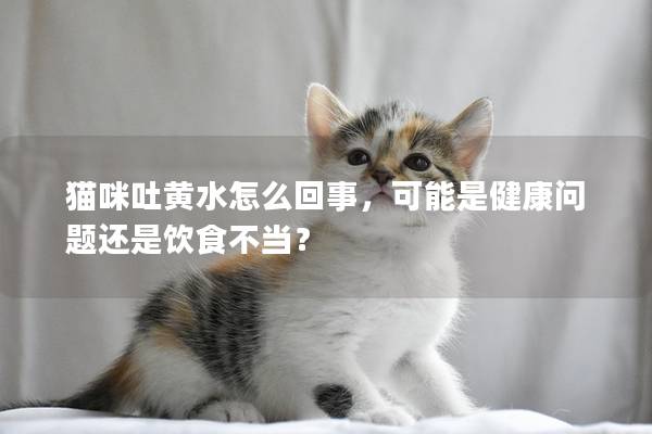 貓咪吐黃水怎么回事，可能是健康問題還是飲食不當(dāng)？