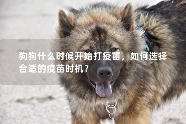 狗狗什么時候開始打疫苗，如何選擇合適的疫苗時機？