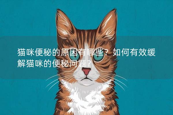 貓咪便秘的原因有哪些？如何有效緩解貓咪的便秘問題？