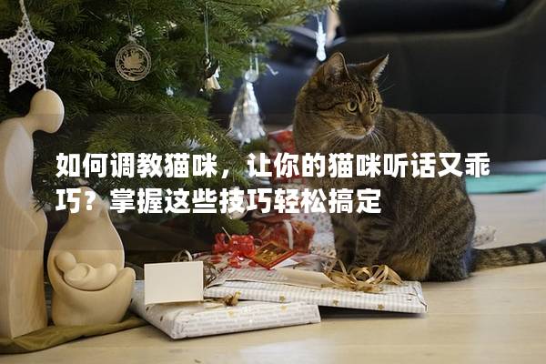 如何調(diào)教貓咪，讓你的貓咪聽話又乖巧？掌握這些技巧輕松搞定