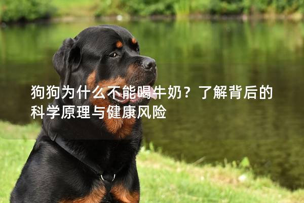 狗狗為什么不能喝牛奶？了解背后的科學原理與健康風險