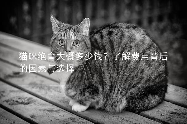 貓咪絕育大概多少錢(qián)？了解費(fèi)用背后的因素與選擇