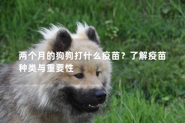 兩個月的狗狗打什么疫苗？了解疫苗種類與重要性