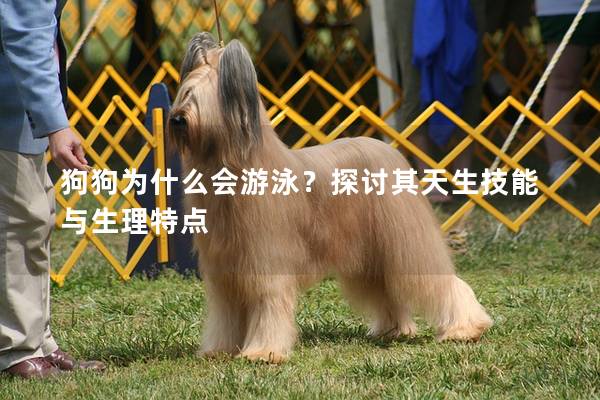 狗狗為什么會游泳?探討其天生技能與生理特點 狗狗為什么會游泳?探討其天生技能與生理特點