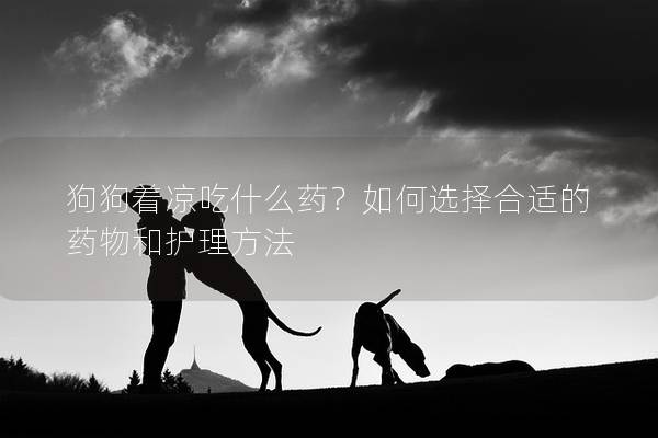 狗狗著涼吃什么藥？如何選擇合適的藥物和護(hù)理方法