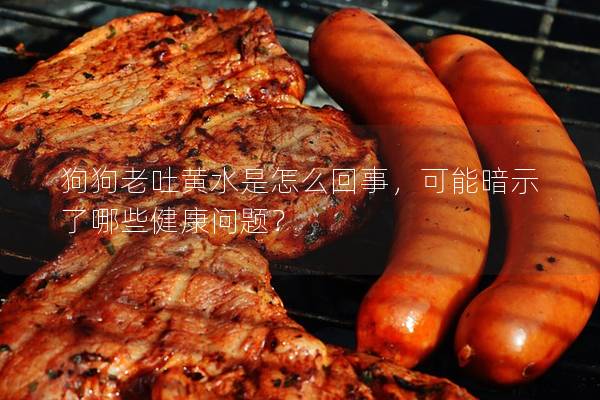 狗狗老吐黃水是怎么回事，可能暗示了哪些健康問題？