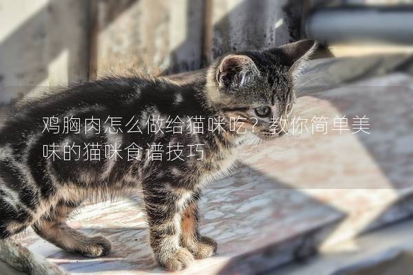 雞胸肉怎么做給貓咪吃？教你簡(jiǎn)單美味的貓咪食譜技巧