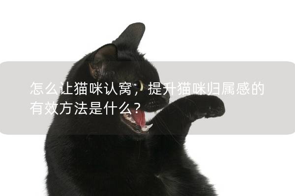 怎么讓貓咪認窩，提升貓咪歸屬感的有效方法是什么？
