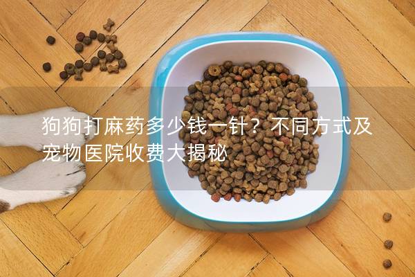 狗狗打麻藥多少錢一針？不同方式及寵物醫(yī)院收費(fèi)大揭秘