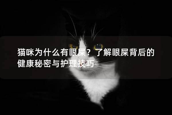 貓咪為什么有眼屎？了解眼屎背后的健康秘密與護理技巧