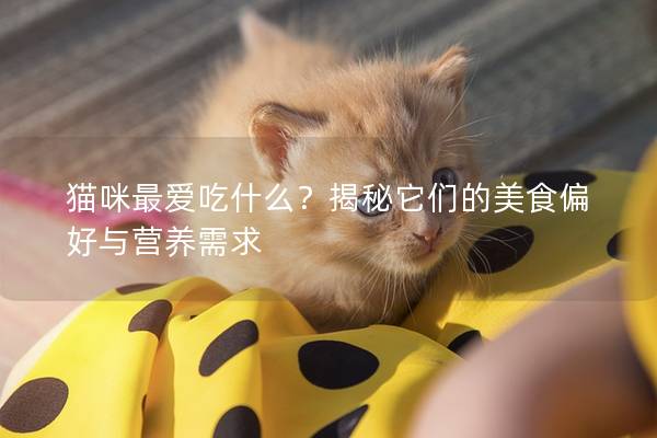 貓咪最愛吃什么？揭秘它們的美食偏好與營養(yǎng)需求