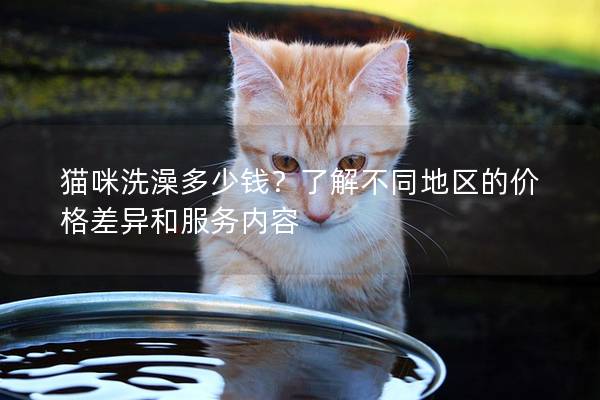 貓咪洗澡多少錢？了解不同地區(qū)的價格差異和服務(wù)內(nèi)容