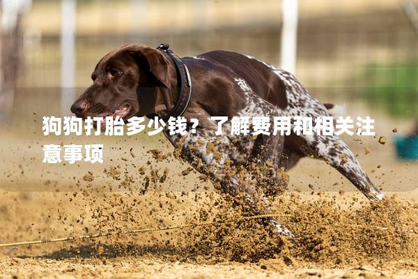 狗狗打胎多少錢？了解費(fèi)用和相關(guān)注意事項(xiàng)