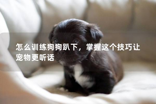 怎么訓練狗狗趴下，掌握這個技巧讓寵物更聽話