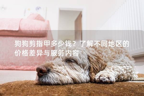 狗狗剪指甲多少錢？了解不同地區(qū)的價(jià)格差異與服務(wù)內(nèi)容