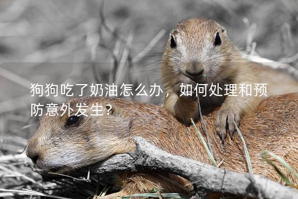 狗狗吃了奶油怎么辦，如何處理和預防意外發生？