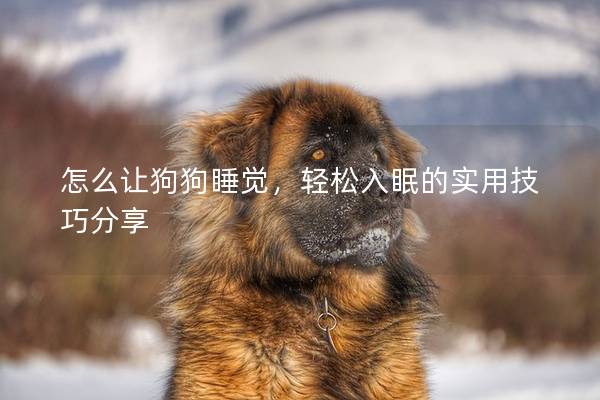 怎么讓狗狗睡覺，輕松入眠的實用技巧分享