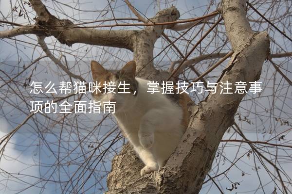 怎么幫貓咪接生，掌握技巧與注意事項的全面指南