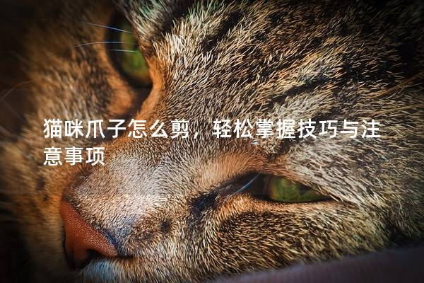 貓咪爪子怎么剪，輕松掌握技巧與注意事項