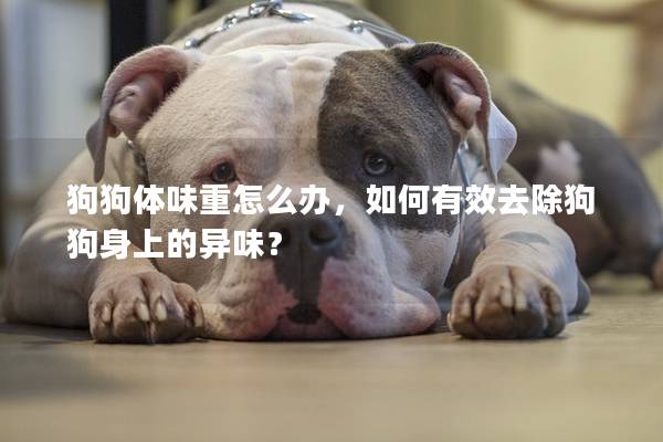 狗狗體味重怎么辦，如何有效去除狗狗身上的異味？