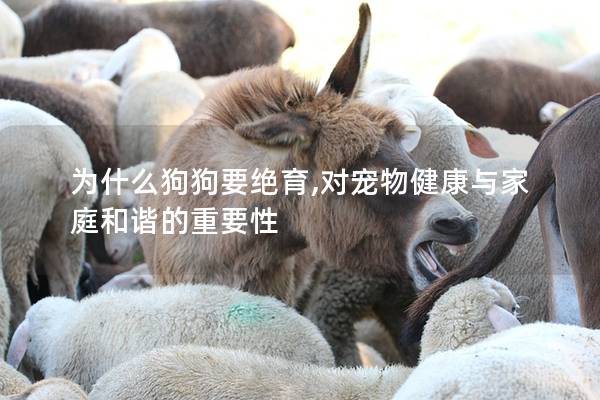 為什么狗狗要絕育,對寵物健康與家庭和諧的重要性 為什么狗狗要絕育,對寵物健康與家庭和諧的重要性
