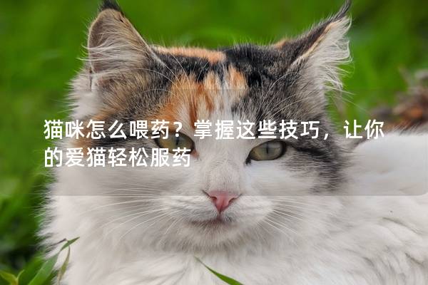 貓咪怎么喂藥？掌握這些技巧，讓你的愛貓輕松服藥