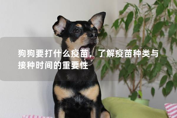 狗狗要打什么疫苗，了解疫苗種類與接種時(shí)間的重要性