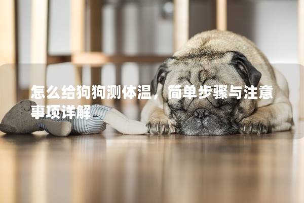 怎么給狗狗測體溫,簡單步驟與注意事項詳解 怎么給狗狗測體溫,簡單步驟與注意事項詳解