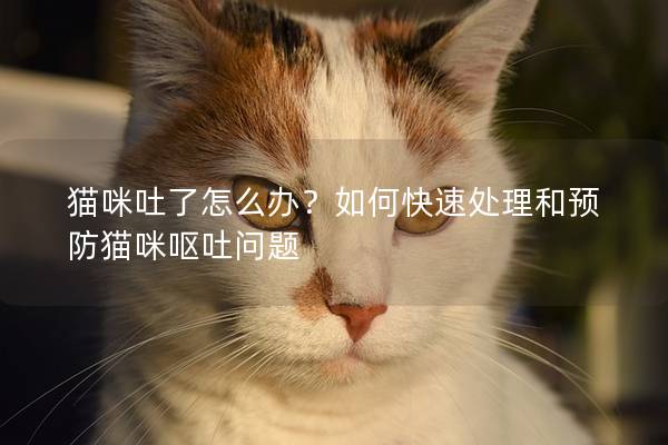 貓咪吐了怎么辦？如何快速處理和預防貓咪嘔吐問題